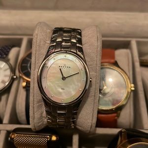 Skagen Stainless Steel Watch